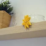 Apartment Alexandra Exclusive