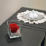 Apartment Alexandra Exclusive Naples